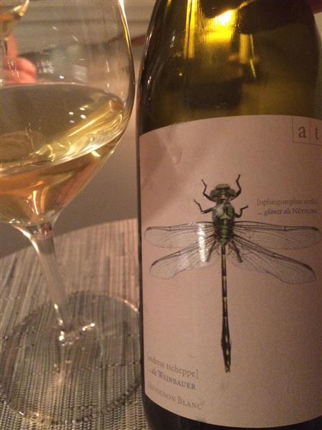 2019 Andreas Tscheppe Sauvignon Blanc Grüne Libelle - CellarTracker