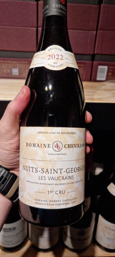 2022 Domaine Robert Chevillon Nuits St. Georges 1er Cru Les