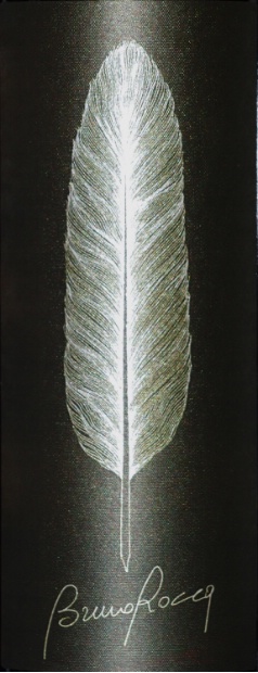 N.V.