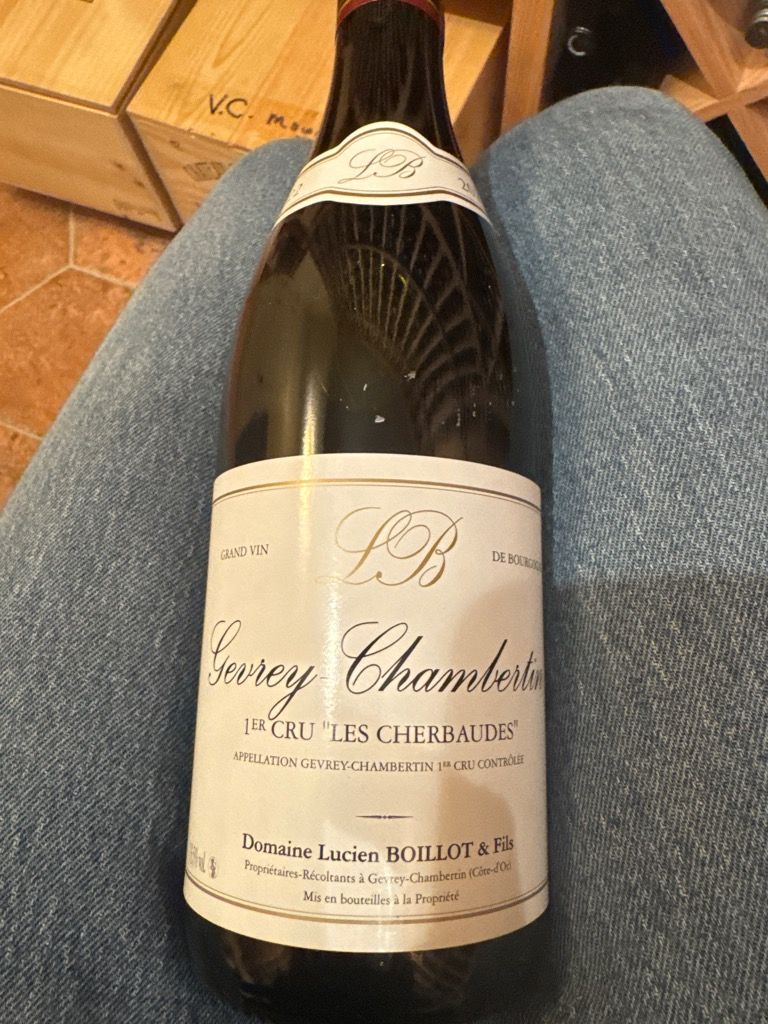 2022 Domaine Lucien Boillot et Fils Gevrey-Chambertin 1er Cru Les