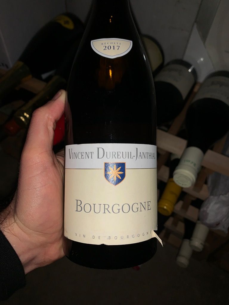 Bourgogne - 2023 - Domaine Dureuil-Janthial
