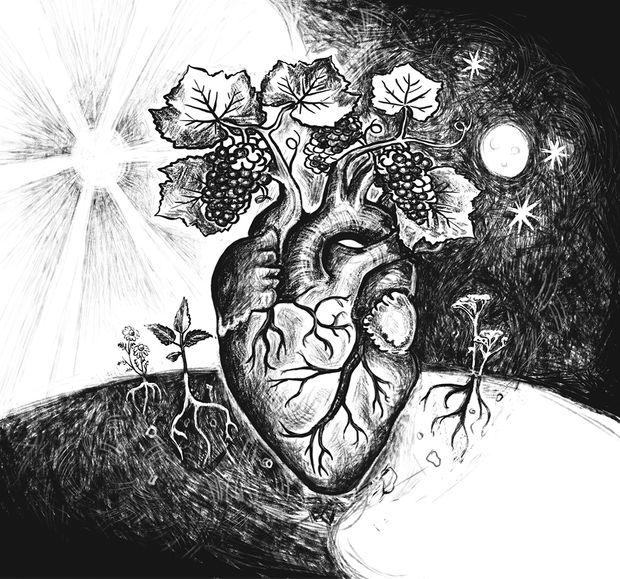 2017 Keeler Estate Vineyard Pinot Noir "Heart" Keeler Estate Vineyard, USA, Oregon, Willamette