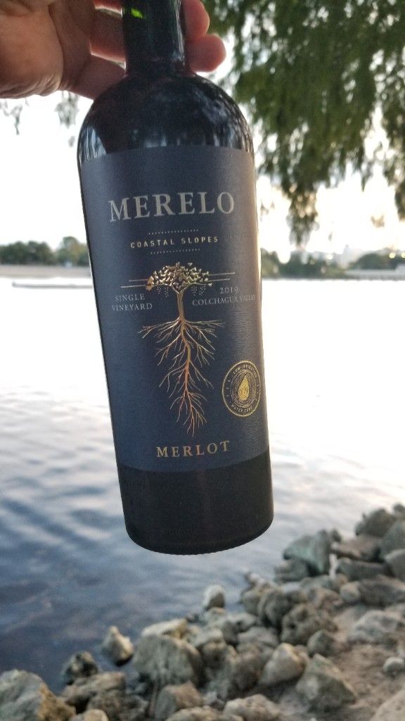 2019 Viña Centenaria Merlot Merelo Single Vineyard - CellarTracker