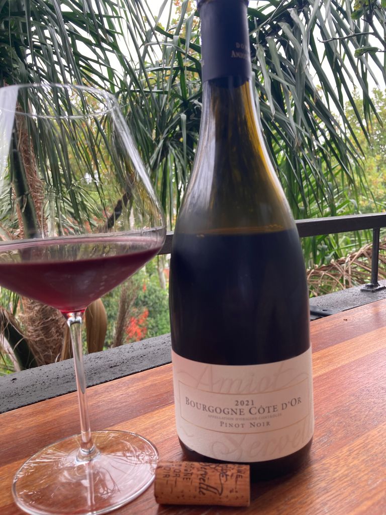 2020 Domaine Amiot-Servelle Bourgogne Côte d'Or - CellarTracker