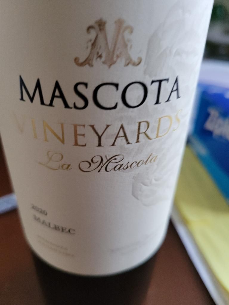 Mascota vineyards 2024