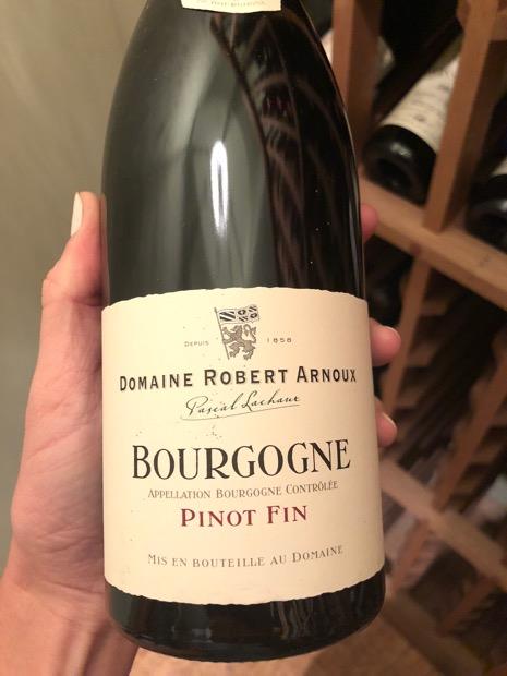 飲料・酒 Borgogne Pinot fin 2005 Pascal Lachaux