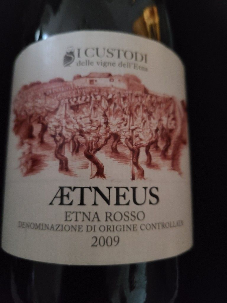 I Custodi Aetneus Etna Rosso 2019 (750ml)
