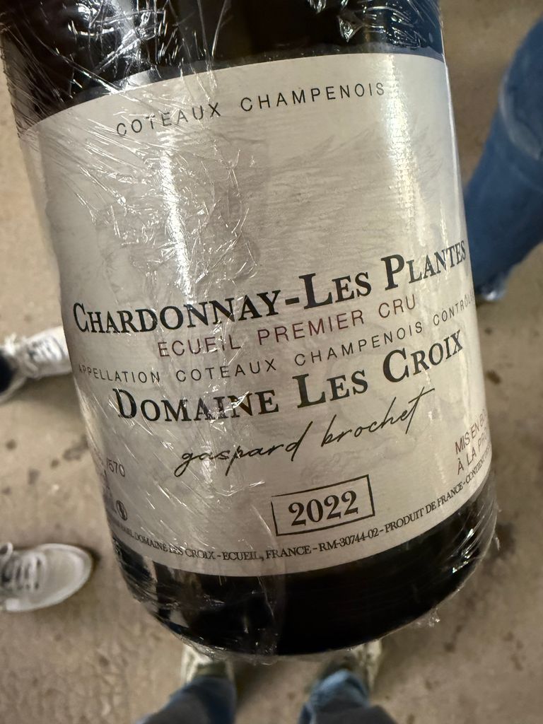 2022 Gaspard Brochet Coteaux Champenois Plantes - CellarTracker