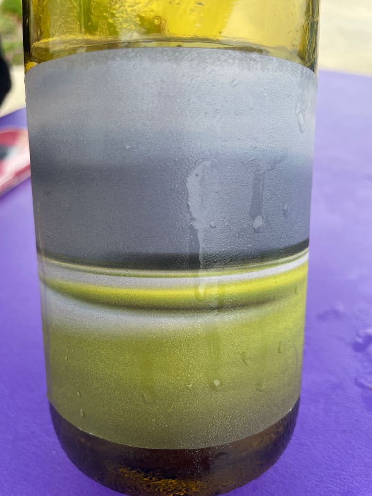 2021 Time Place Wine Company Picpoul Terra Alta Vineyard, USA