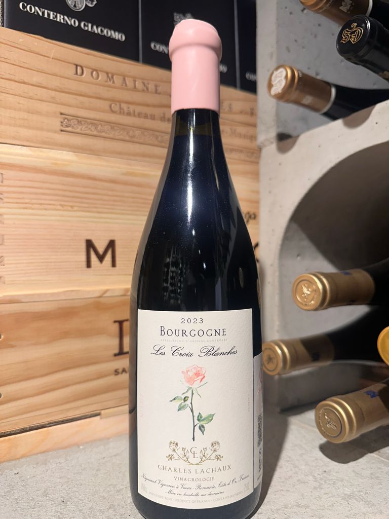 2020 Charles Lachaux Bourgogne La Croix Blanche - CellarTracker