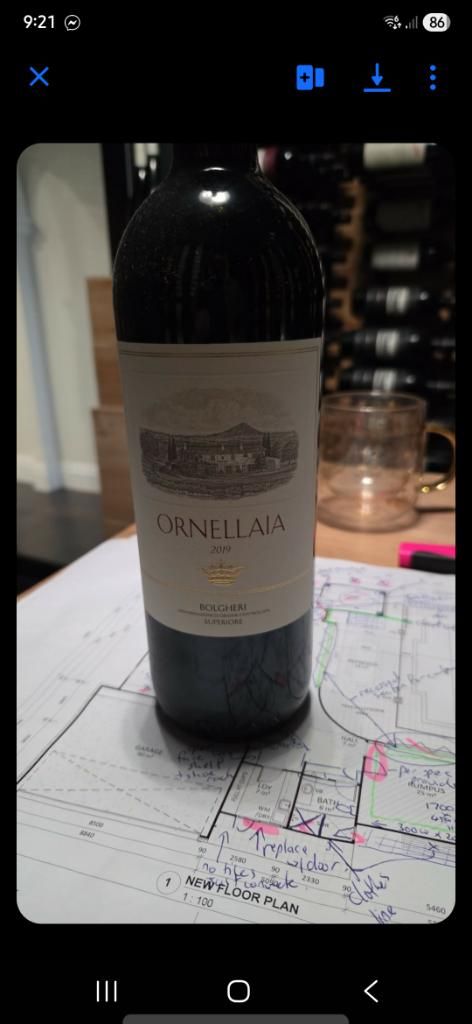 2019 Tenuta dell'Ornellaia Bolgheri Superiore Ornellaia