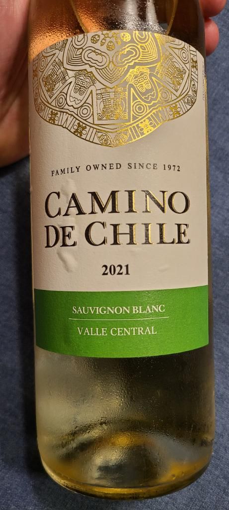 2022 Camino de Chile Sauvignon Blanc