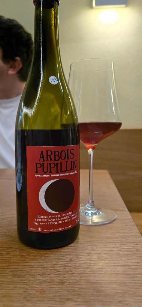 2021 Renaud Bruyère & Adeline Houillon Ploussard Arbois Pupillin