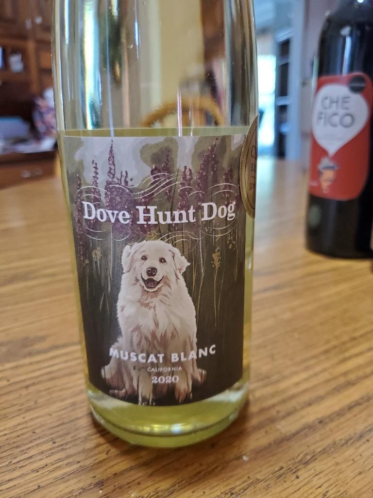 2020 Scout and Cellar Muscat Blanc Dove Hunt Dog, USA, California