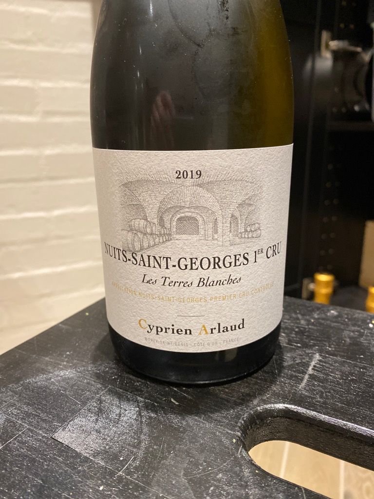 2019 Domaine Arlaud Nuits St. Georges 1er Cru Les Terres Blanches Blanc 