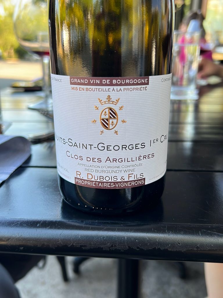 Nuits-Saint-Georges 1er Cru Clos des Argillières - 2019 - Domaine Dureuil-Janthial