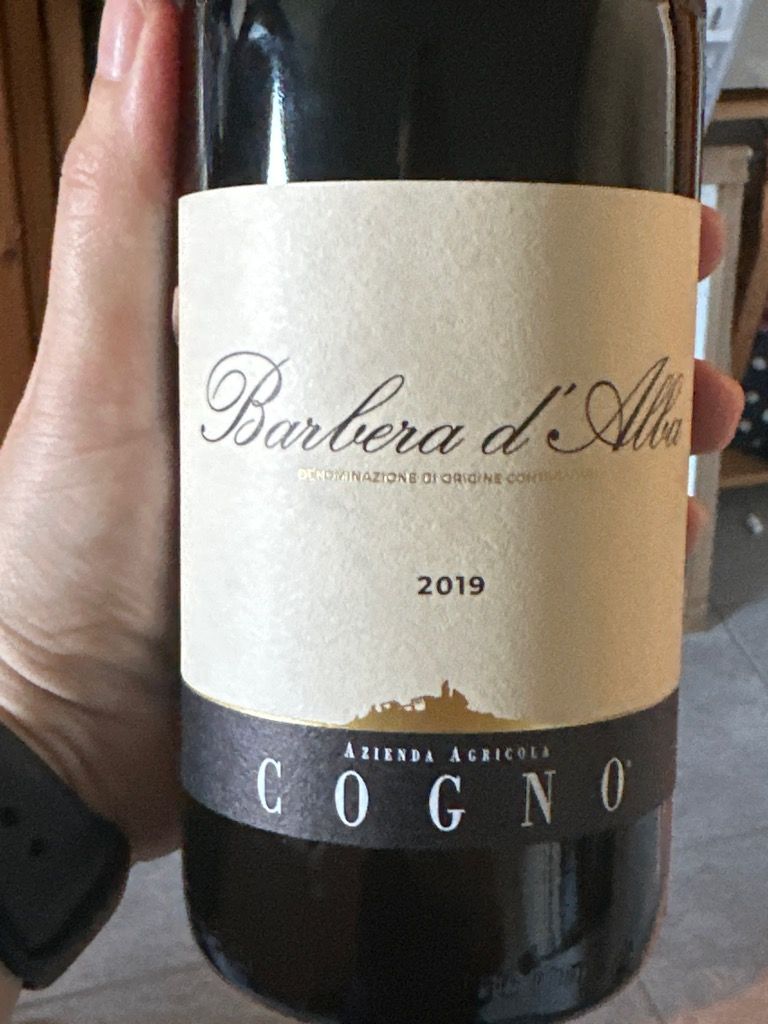 2019 Azienda Agricola Elvio Cogno Barbera d'Alba Bricco dei Merli ...