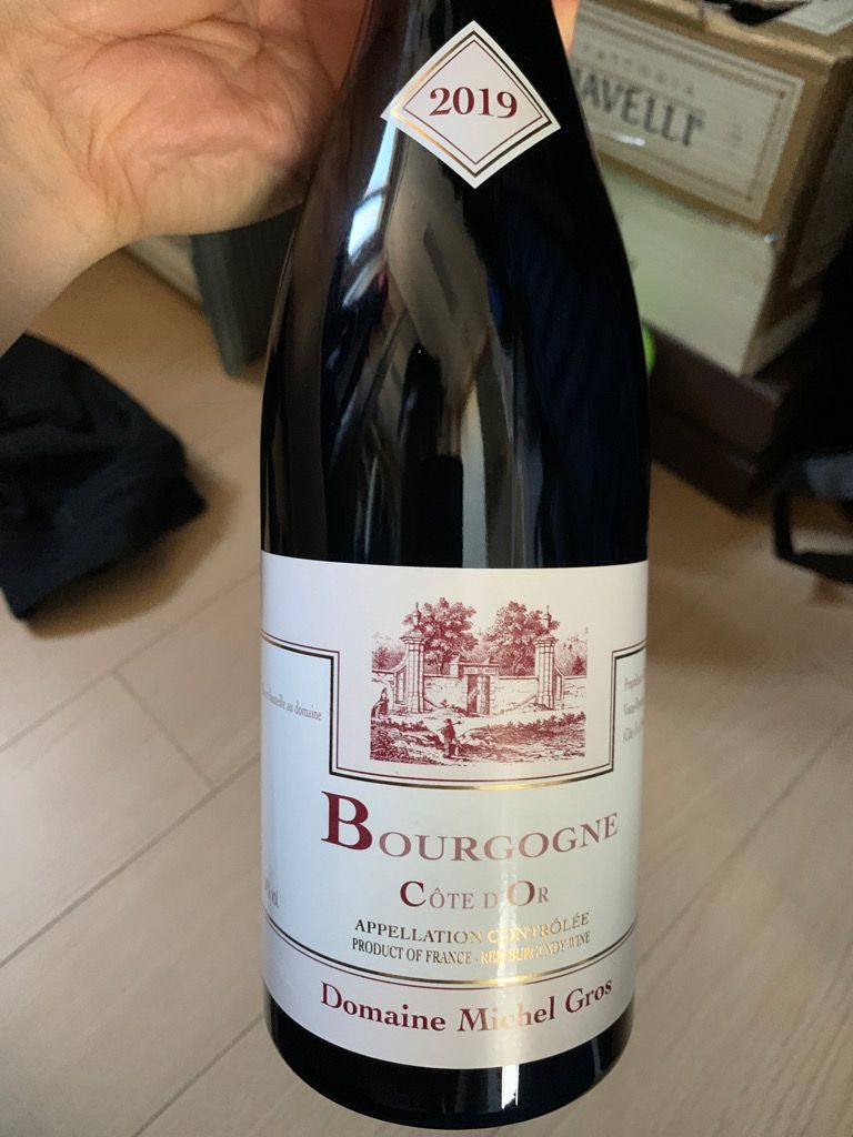 BOURGOGNE CÔTE D'OR ROUGE 2019 'PINOT NOIR' - DOMAINE MICHEL