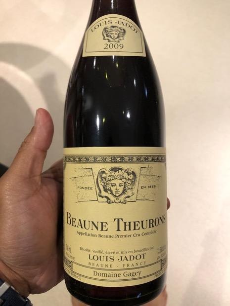 Bourgogne Hautes Côtes de Beaune 2009 2009 Domaine Robert Jayer-Gilles Bourgogne Hautes-Côtes de