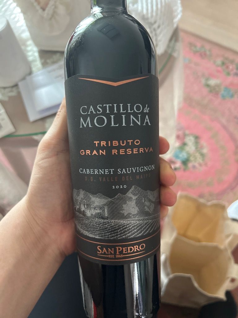 2019 Castillo de Molina Cabernet Sauvignon Reserva - CellarTracker