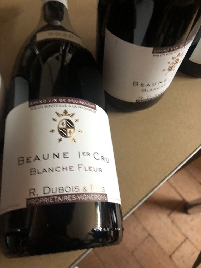 2023 Domaine R. DuBois & Fils Beaune 1er Cru Les Blanches Fleurs ...