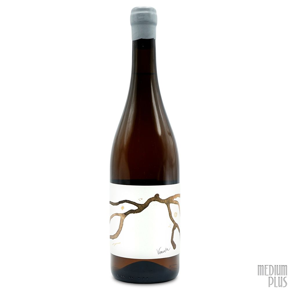 2019 Venissa Dorona Bianco Venusa Veneto IGT - CellarTracker