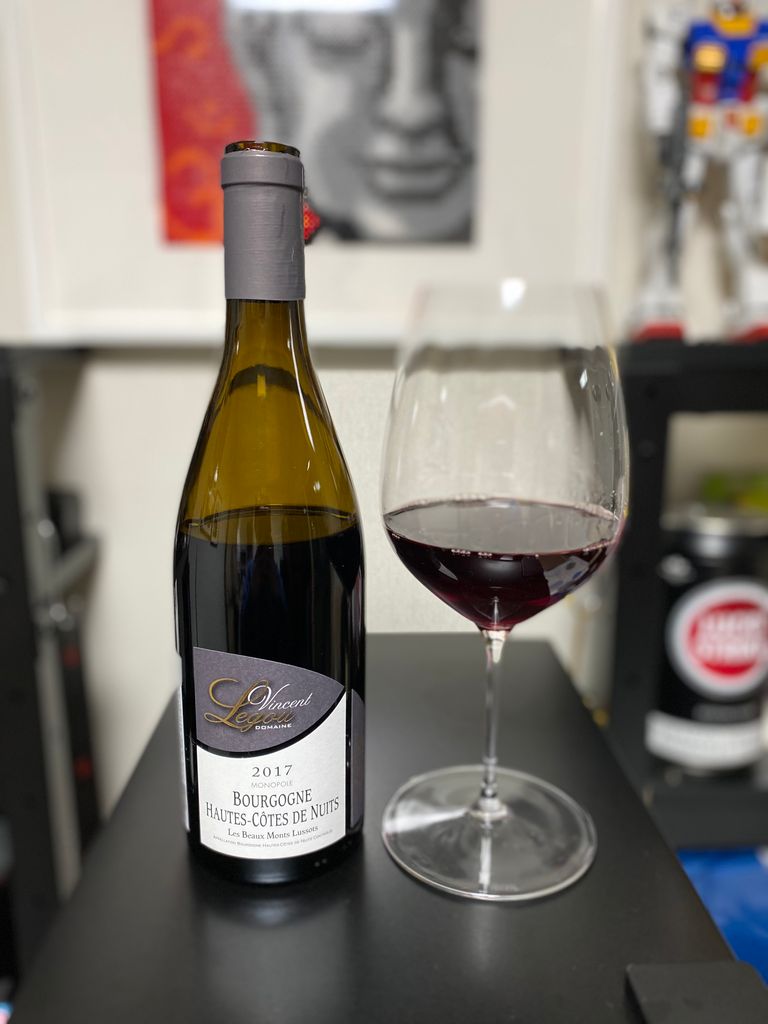 2017 Domaine Vincent Legou Bourgogne Hautes-Côtes de Nuits Les Beaux ...