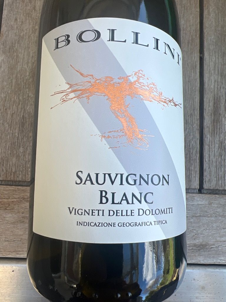 2023 Bollini Sauvignon Blanc Vigneti delle Dolomiti IGT, Italy ...