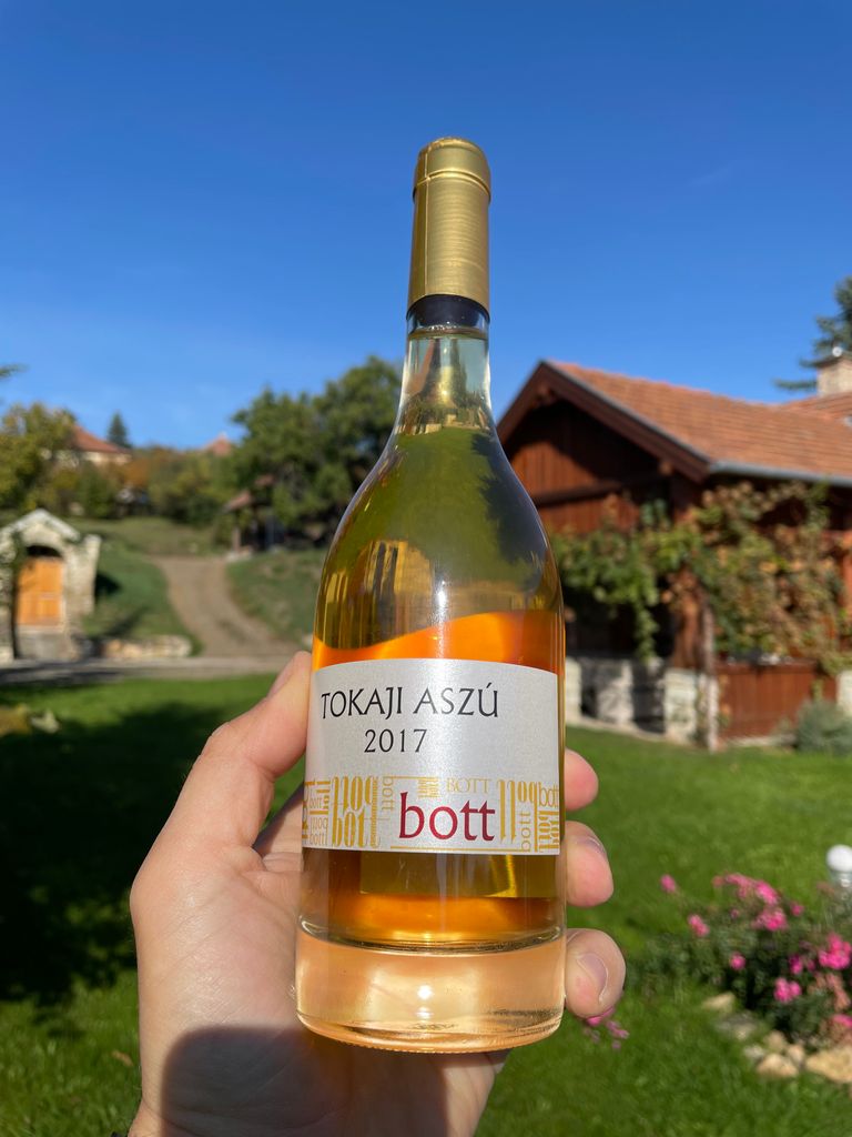 2013 Bott Pince Tokaji Aszú 6 Puttonyos - CellarTracker