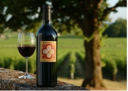 LASSÈGUE 2008 赤ワイン 2008 Château Lassègue - CellarTracker