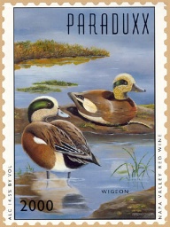 2000