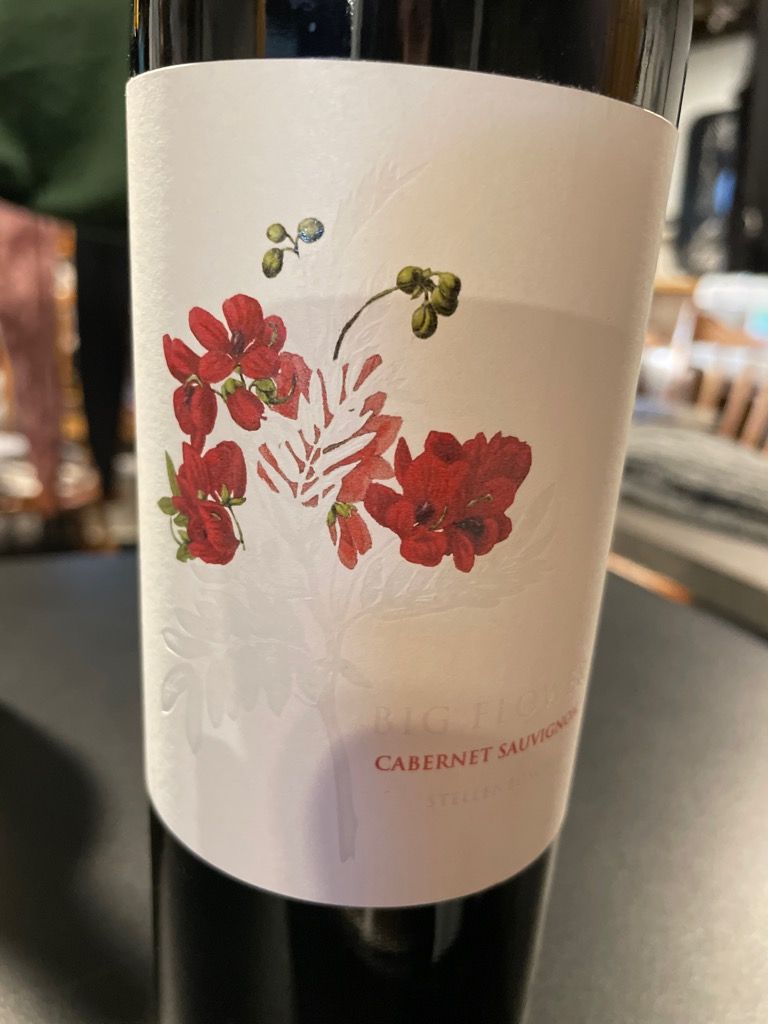 2021 Big Flower Wines Sauvignon, South Africa, Coastal Region