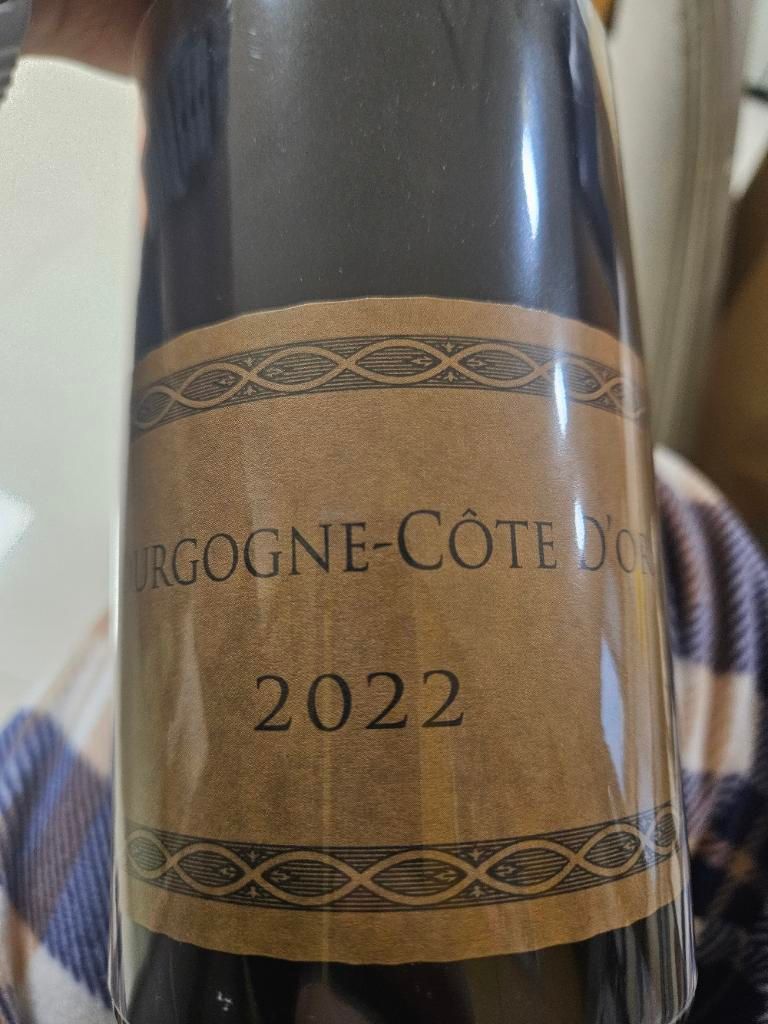 2022 Domaine Philippe Charlopin Pinot Noir Bourgogne Côte d'Or
