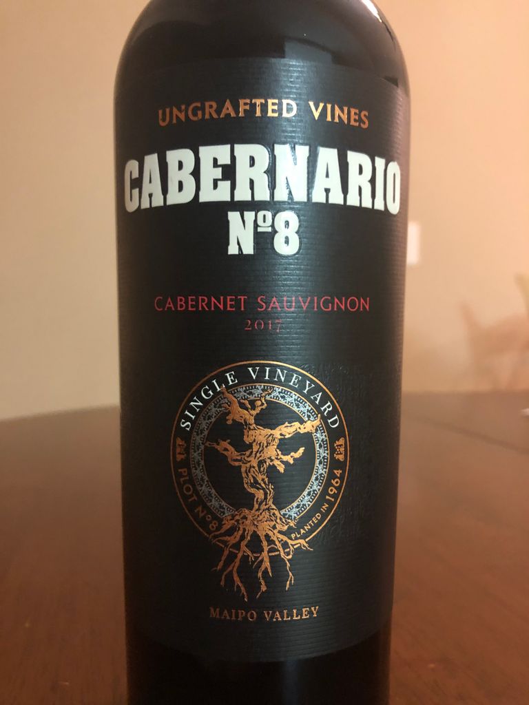 2017 Vina Sur Andino Cabernet Sauvignon Cabernario N°8 Ungrafted Vines -  CellarTracker