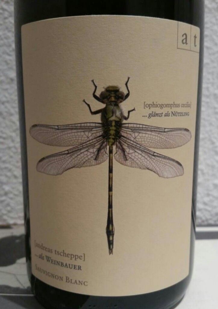 Andreas Tscheppe Grüne Libelle 2019 2019 Andreas Tscheppe Sauvignon Blanc Grüne Libelle - CellarTracker
