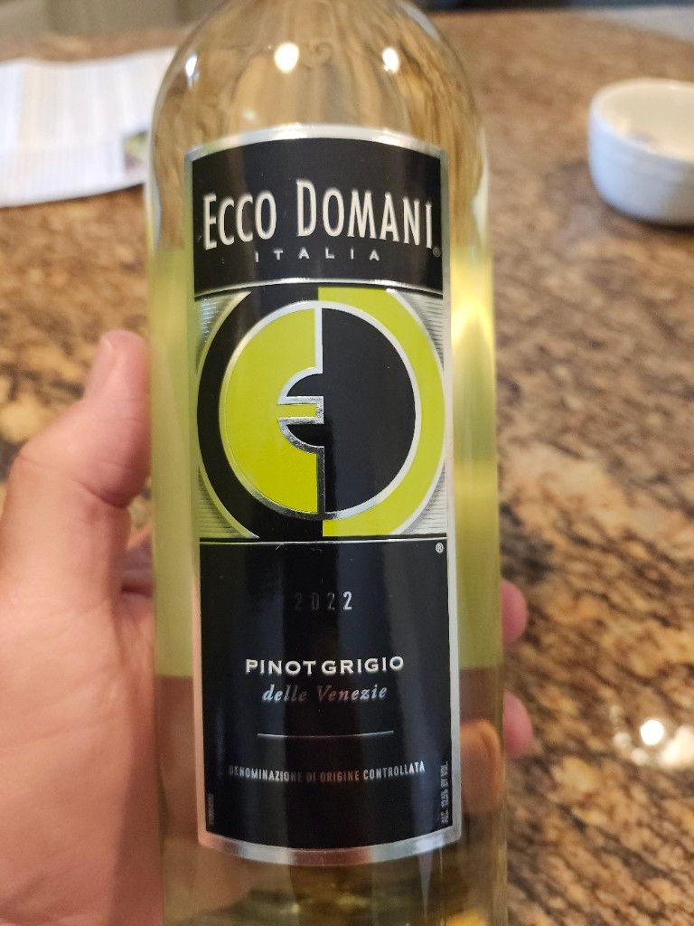 2022 Ecco Domani Pinot Grigio Delle Venezie, Italy, Delle Venezie ...