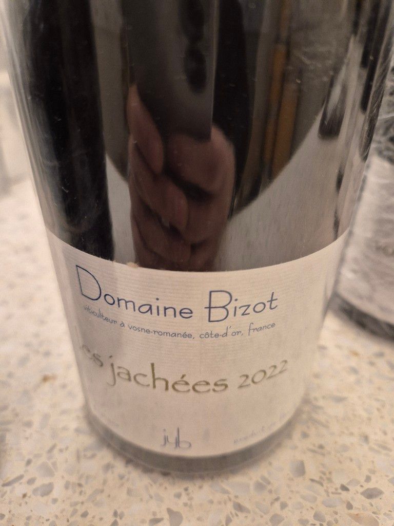 2010 Domaine Bizot Vosne-Romanée Les Jachées - CellarTracker